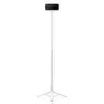 Laptop, Telefoane si Tablete - Telefoane mobile si accesorii - Accesorii Telefoane - Selfie stick-uri - Selfie Stick Albastrutooth cu Telecomanda- Spigen (S541W) - Dune Bej - Infinity.ro