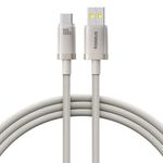 Laptop, Telefoane si Tablete - Telefoane mobile si accesorii - Accesorii Telefoane - Cabluri si adaptoare telefoane - Cablu USB, Type-C, 100W, 2m - Baseus Titanium (P10378102G21-02) - Argintiu - Infinity.ro