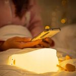 Casa si Gradina - Corpuri si surse de iluminat - Veioze si lampi - Lampi de veghe copii - Lampa de Veghe Amuzanta NewEvo, Ratusca Adormita, Silicon Moale, Lumina Calda, 3 Intensitati - Infinity.ro