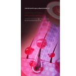 Ingrijire personala si Cosmetice - Ingrijire personala - Ingrijire par - Perii de par si piepteni - Perie pentru par cu aplicator de ser pentru scalp Arvada® ScalpCare XYT 0801, Functie de Masaj - Infinity.ro