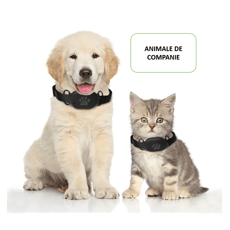 Auto si Moto - Electronice auto - Navigatii GPS - Mini GPS tracker, Dispozitiv localizare si monitorizare Sinzo®, Baterie 450 mAh, cartela SIM, buton SOS, Istoric traseu - Infinity.ro