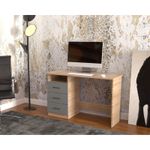Casa si Gradina - Mobilier - Mese si birouri - Birouri - Birou Atelier Adrion, dimensiuni 120 x50 x76cm, culoare gri/sonoma - Infinity.ro
