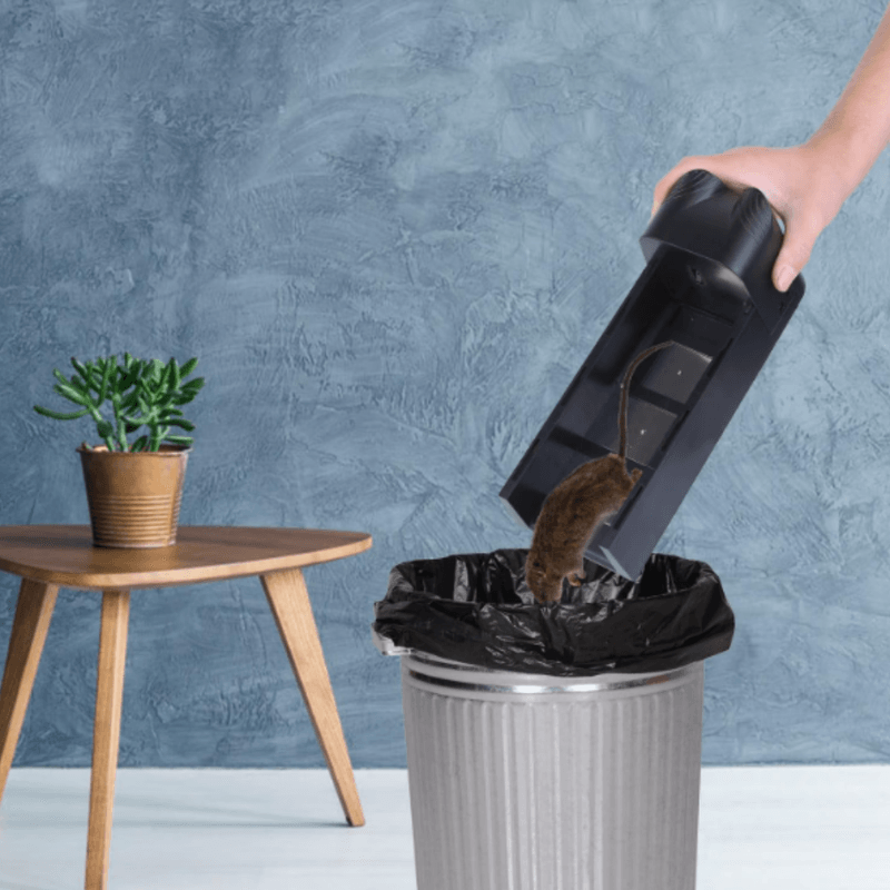 Casa si Gradina - Gradinarit si plante - Intretinere gradina - Articole daunatori gradina - Capcana electrica rozatoare BIRAI K9, reutilizabila, USB, soareci si sobolani, interior, negru - Infinity.ro