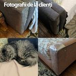 Petshop - Accesorii petshop - Alte accesorii petshop - Set 10 Folii One Size, Protectie Impotriva Zgarieturilor de Pisici si Caini pentru Obiecte din Lemn sau Material - Infinity.ro