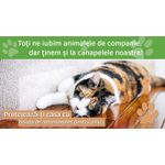 Petshop - Accesorii petshop - Alte accesorii petshop - Rola Autoadeziva, LittleDomi, pentru Protectie Impotriva Zgarieturilor de Pisici si Caini, Polietilena - Infinity.ro