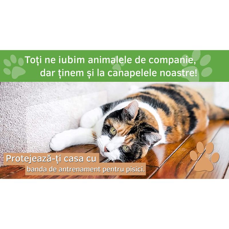 Petshop - Accesorii petshop - Alte accesorii petshop - Rola Autoadeziva, LittleDomi, pentru Protectie Impotriva Zgarieturilor de Pisici si Caini, Polietilena - Infinity.ro