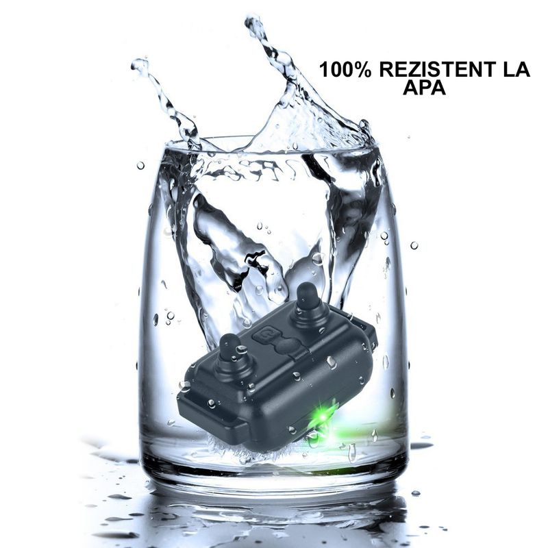 Petshop - Accesorii petshop - Dresaj animale - Zgarda Electrica pentru Dresaj Caini, LD-880,99 Nivele de Vibratii, Ghid Dresaj, Raza Actiune 800m, Reincarcabila, IP6x - Infinity.ro