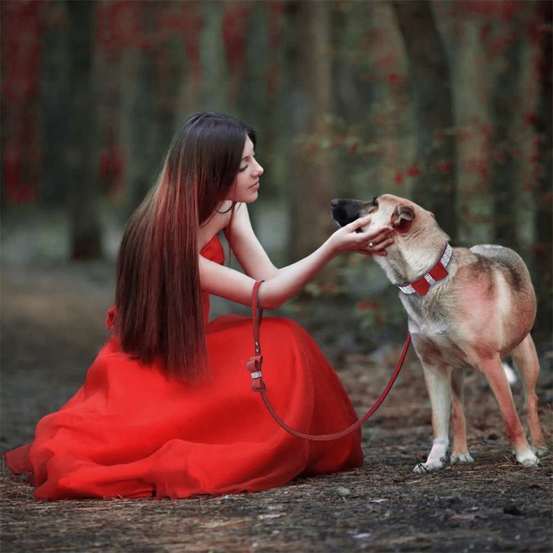 Petshop - Accesorii petshop - Zgarzi, lese si hamuri - Zgarzi - Set lesa si zgarda reglabila cu pietricele semipretioase si fundita, din piele, pentru caini/catei, pisici, XS - Infinity.ro