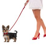 Petshop - Accesorii petshop - Zgarzi, lese si hamuri - Zgarzi - Set lesa si zgarda reglabila cu pietricele semipretioase si fundita, din piele, pentru caini/catei, pisici, XS - Infinity.ro