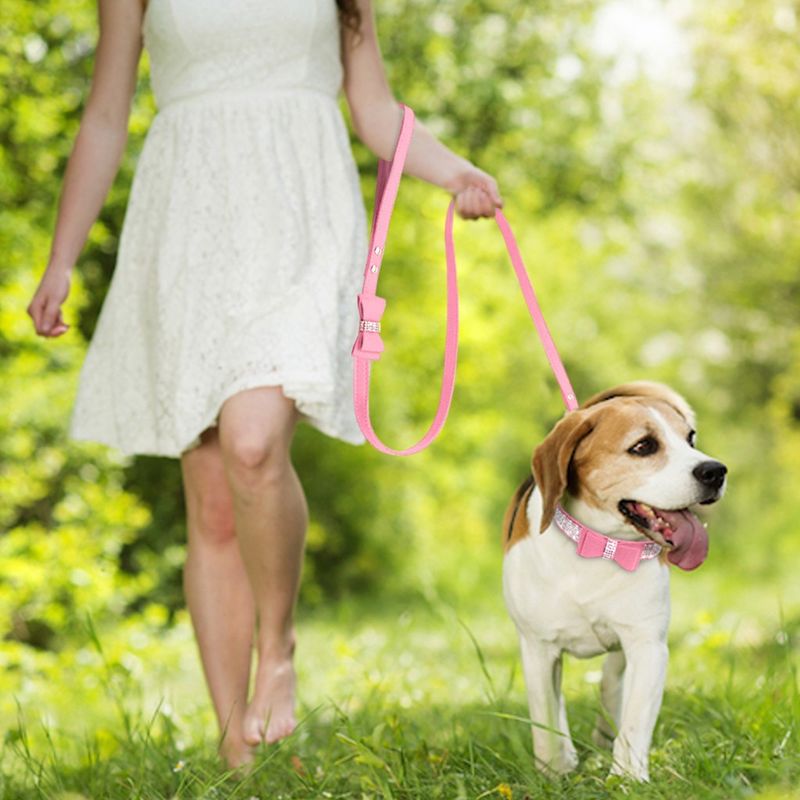 Petshop - Accesorii petshop - Zgarzi, lese si hamuri - Zgarzi - Set lesa si zgarda reglabila cu pietricele semipretioase si fundita, din piele, pentru caini/catei, pisici, S - Infinity.ro