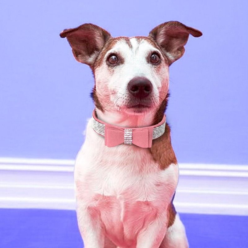 Petshop - Accesorii petshop - Zgarzi, lese si hamuri - Zgarzi - Set lesa si zgarda reglabila cu pietricele semipretioase si fundita, din piele, pentru caini/catei, pisici, S - Infinity.ro