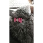 Petshop - Accesorii petshop - Zgarzi, lese si hamuri - Zgarzi - Set lesa si zgarda reglabila cu pietricele semipretioase si fundita, din piele, pentru caini/catei, pisici, S - Infinity.ro