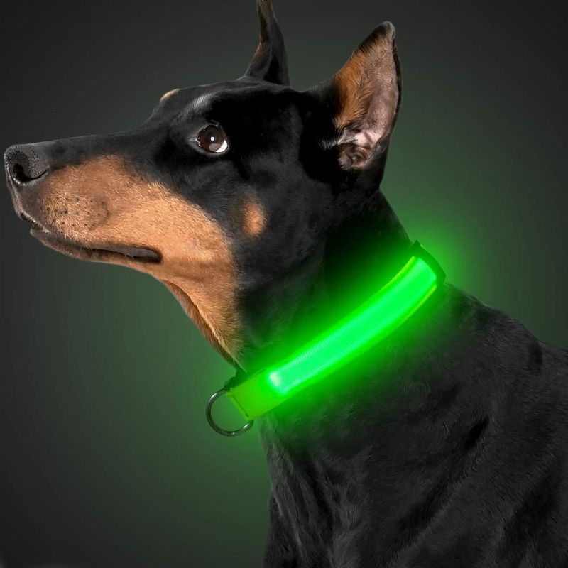 Petshop - Accesorii petshop - Zgarzi, lese si hamuri - Zgarzi - Zgarda reglabila LED pentru catei/animale de companie, cu incarcare USB si cablu, S - Infinity.ro