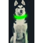 Petshop - Accesorii petshop - Zgarzi, lese si hamuri - Zgarzi - Zgarda reglabila LED pentru catei/animale de companie, cu incarcare USB si cablu, S - Infinity.ro