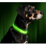 Petshop - Accesorii petshop - Zgarzi, lese si hamuri - Zgarzi - Zgarda reglabila LED pentru catei/animale de companie, cu incarcare USB si cablu, S - Infinity.ro