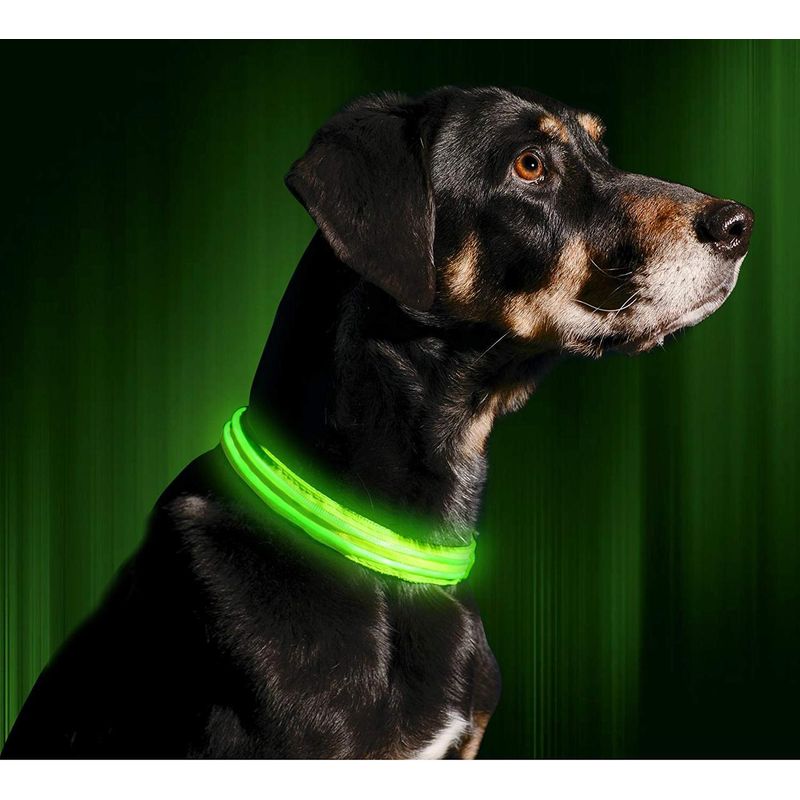 Petshop - Accesorii petshop - Zgarzi, lese si hamuri - Zgarzi - Zgarda reglabila LED pentru catei/animale de companie, cu incarcare USB si cablu, S - Infinity.ro