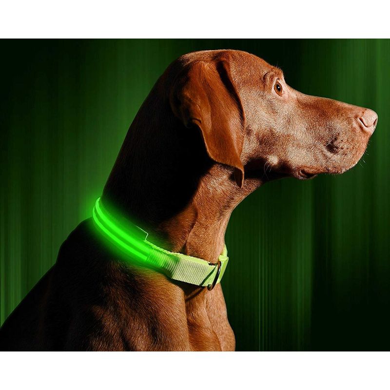 Petshop - Accesorii petshop - Zgarzi, lese si hamuri - Zgarzi - Zgarda reglabila LED pentru catei/animale de companie, cu incarcare USB si cablu, S - Infinity.ro