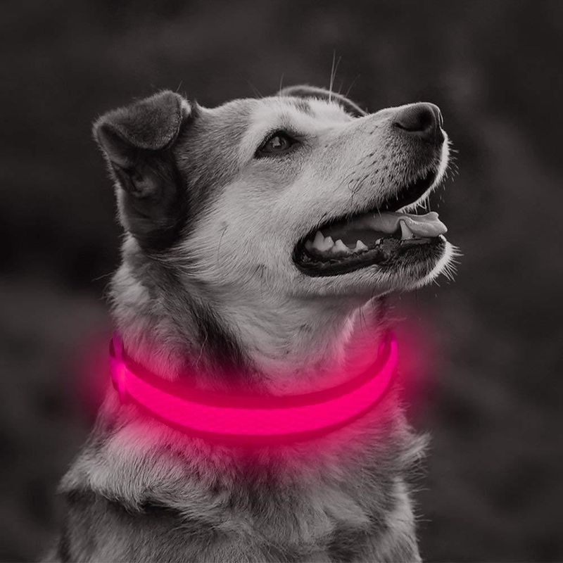 Petshop - Accesorii petshop - Zgarzi, lese si hamuri - Zgarzi - Zgarda reglabila LED pentru catei/animale de companie, cu incarcare USB si cablu, XS - Infinity.ro