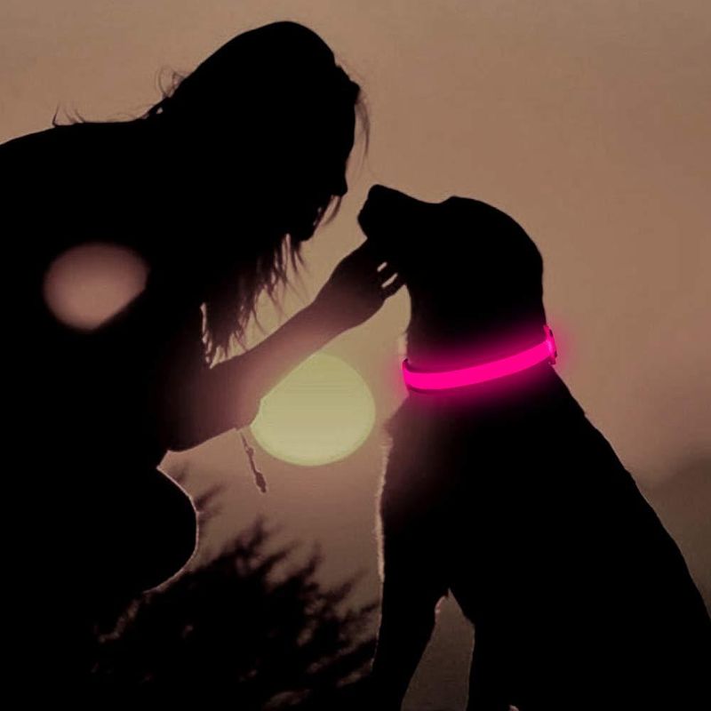 Petshop - Accesorii petshop - Zgarzi, lese si hamuri - Zgarzi - Zgarda reglabila LED pentru catei/animale de companie, cu incarcare USB si cablu, XS - Infinity.ro
