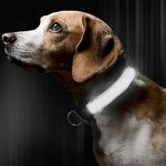 Petshop - Accesorii petshop - Zgarzi, lese si hamuri - Zgarzi - Zgarda reglabila LED pentru catei/animale de companie, cu incarcare USB si cablu, S - Infinity.ro