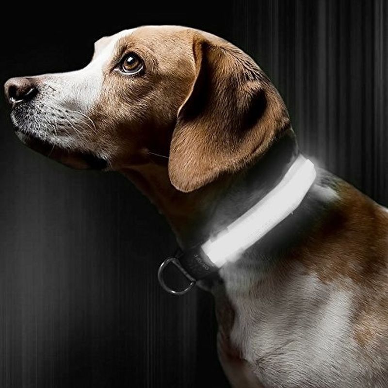 Petshop - Accesorii petshop - Zgarzi, lese si hamuri - Zgarzi - Zgarda reglabila LED pentru catei/animale de companie, cu incarcare USB si cablu, S - Infinity.ro