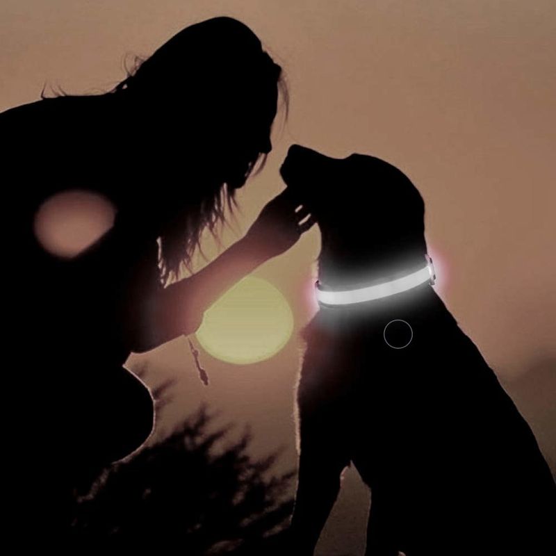 Petshop - Accesorii petshop - Zgarzi, lese si hamuri - Zgarzi - Zgarda reglabila LED pentru catei/animale de companie, cu incarcare USB si cablu, S - Infinity.ro