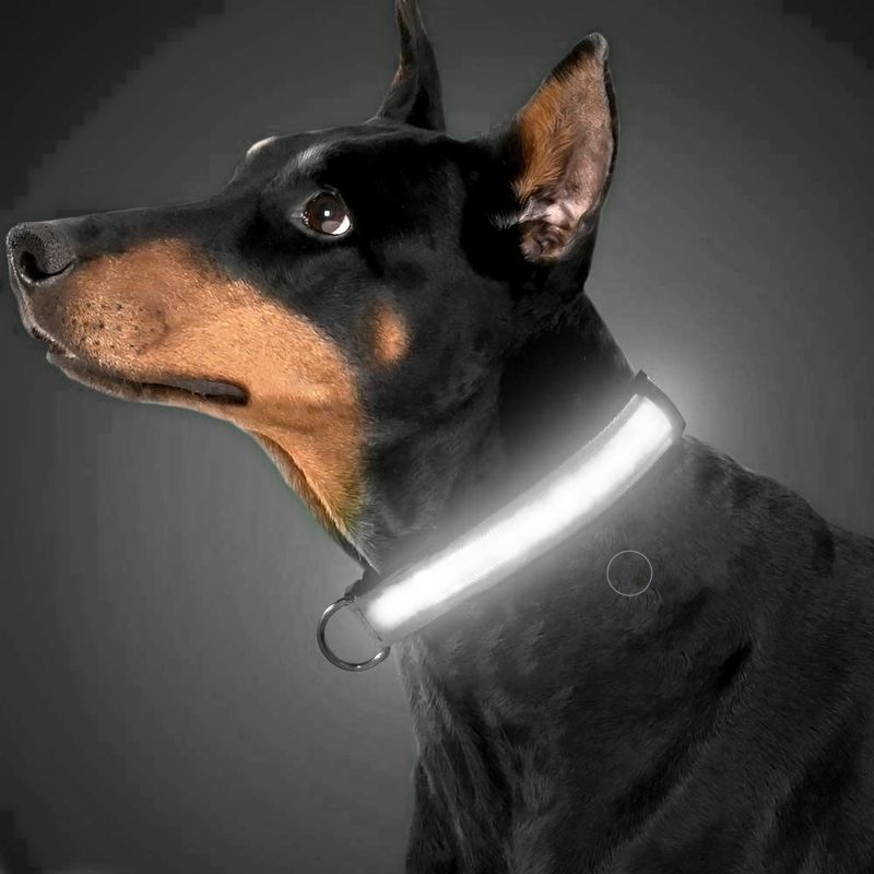 Petshop - Accesorii petshop - Zgarzi, lese si hamuri - Zgarzi - Zgarda reglabila LED pentru catei/animale de companie, cu incarcare USB si cablu, M - Infinity.ro