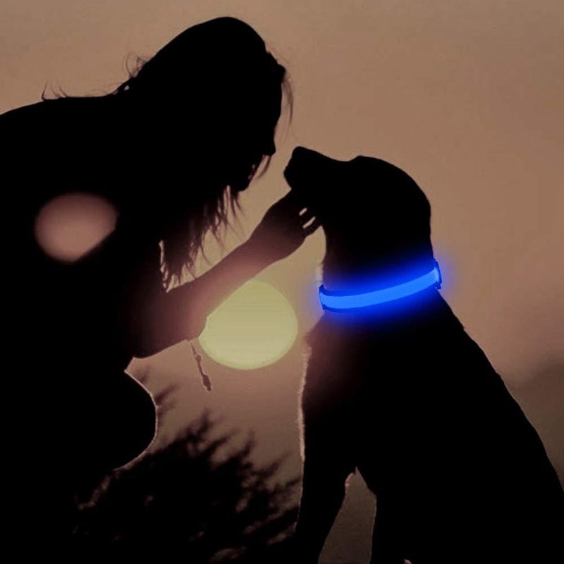 Petshop - Accesorii petshop - Zgarzi, lese si hamuri - Zgarzi - Zgarda reglabila LED pentru catei/animale de companie, cu incarcare USB si cablu, M - Infinity.ro