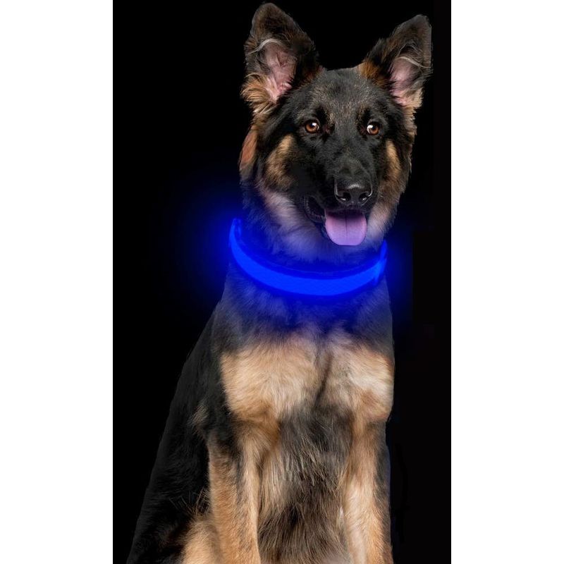 Petshop - Accesorii petshop - Zgarzi, lese si hamuri - Zgarzi - Zgarda reglabila LED pentru catei/animale de companie, cu incarcare USB si cablu, M - Infinity.ro