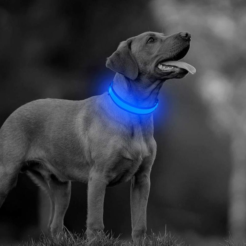 Petshop - Accesorii petshop - Zgarzi, lese si hamuri - Zgarzi - Zgarda reglabila LED pentru catei/animale de companie, cu incarcare USB si cablu, M - Infinity.ro