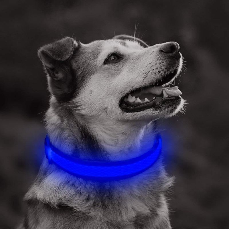 Petshop - Accesorii petshop - Zgarzi, lese si hamuri - Zgarzi - Zgarda reglabila LED pentru catei/animale de companie, cu incarcare USB si cablu, M - Infinity.ro