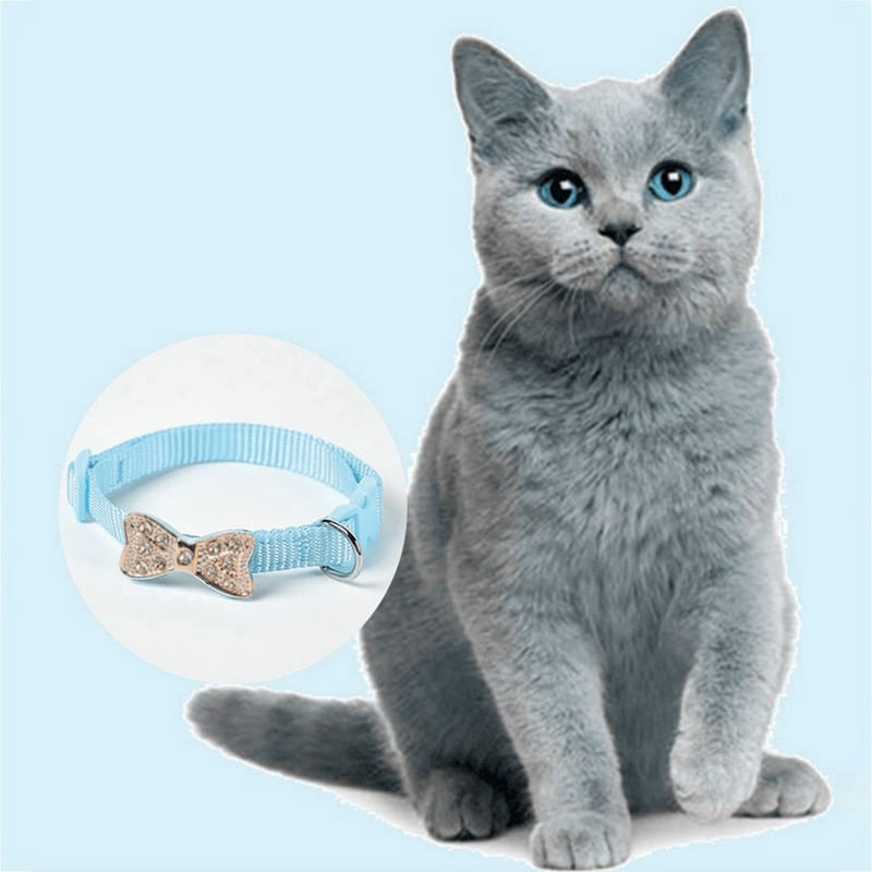 Petshop - Accesorii petshop - Zgarzi, lese si hamuri - Zgarzi - Zgarda cu pandantiv bijuterie fundita, pentru pisici, caini mici/catei sau alte animale de companie -ALBASTRA - Infinity.ro