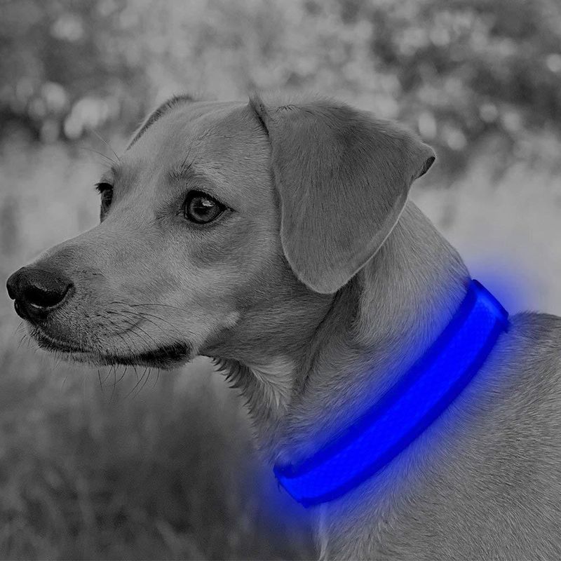 Petshop - Accesorii petshop - Zgarzi, lese si hamuri - Zgarzi - Zgarda reglabila LED pentru catei/animale de companie, cu incarcare USB si cablu, S - Infinity.ro