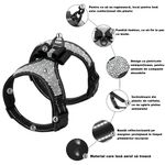 Petshop - Accesorii petshop - Zgarzi, lese si hamuri - Zgarzi - Zgarda ham tip bijuterie cu pietricele si fundita, pentru caini mici/catei, pisici sau alte animale, M - Infinity.ro