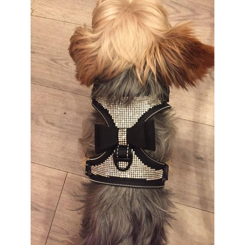 Petshop - Accesorii petshop - Zgarzi, lese si hamuri - Zgarzi - Zgarda ham tip bijuterie cu pietricele si fundita, pentru caini mici/catei, pisici sau alte animale, M - Infinity.ro