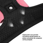 Petshop - Accesorii petshop - Zgarzi, lese si hamuri - Zgarzi - Zgarda ham tip bijuterie cu pietricele si fundita, pentru caini mici/catei, pisici sau alte animale, M - Infinity.ro