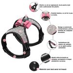 Petshop - Accesorii petshop - Zgarzi, lese si hamuri - Zgarzi - Zgarda ham tip bijuterie cu pietricele si fundita, pentru caini mici/catei, pisici sau alte animale, M - Infinity.ro