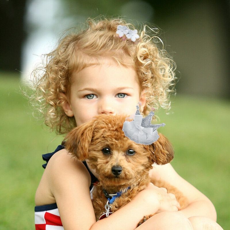 Petshop - Articole imbracaminte - Haine animale - Set 10 bucati fundite si accesorii prindere par, pentru pisici, caini mici/catei sau alte animale de - Infinity.ro