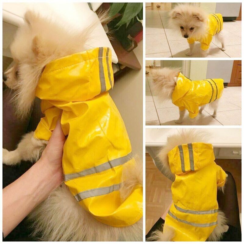 Petshop - Articole imbracaminte - Haine animale - Pelerina ploaie pentru caini/catei, pisici sau alte animale de companie, reflectorizanta, cu gluga, S - Infinity.ro