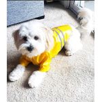 Petshop - Articole imbracaminte - Haine animale - Pelerina ploaie pentru caini/catei, pisici sau alte animale de companie, reflectorizanta, cu gluga, S - Infinity.ro