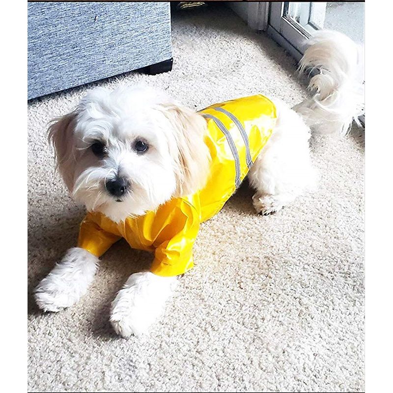 Petshop - Articole imbracaminte - Haine animale - Pelerina ploaie pentru caini/catei, pisici sau alte animale de companie, reflectorizanta, cu gluga, S - Infinity.ro