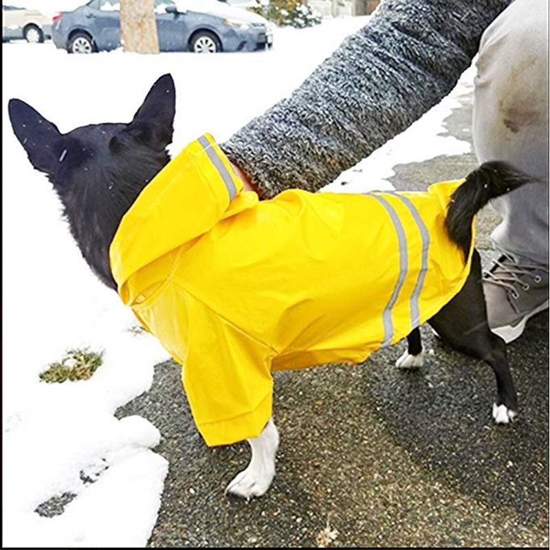 Petshop - Articole imbracaminte - Haine animale - Pelerina ploaie pentru caini/catei, pisici sau alte animale de companie, reflectorizanta, cu gluga, S - Infinity.ro