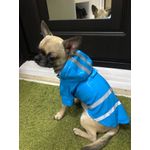 Petshop - Articole imbracaminte - Haine animale - Pelerina ploaie pentru caini/catei, pisici sau alte animale de companie, reflectorizanta, cu gluga, M - Infinity.ro