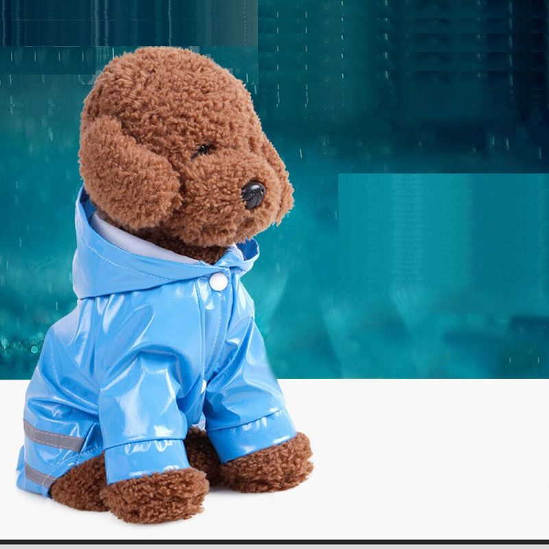 Petshop - Articole imbracaminte - Haine animale - Pelerina ploaie pentru caini/catei, pisici sau alte animale de companie, reflectorizanta, cu gluga, M - Infinity.ro