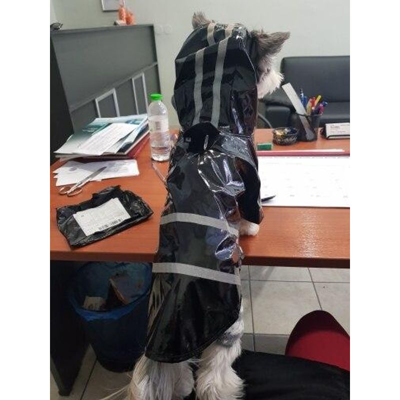 Petshop - Articole imbracaminte - Haine animale - Pelerina ploaie pentru caini/catei, pisici sau alte animale de companie, reflectorizanta, cu gluga, S - Infinity.ro