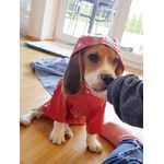 Petshop - Articole imbracaminte - Haine animale - Pelerina ploaie pentru caini/catei, pisici sau alte animale de companie, reflectorizanta, cu gluga, S - Infinity.ro