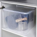 Casa si Gradina - Mobilier - Organizare si depozitare - Cutii depozitare - Recipient de Depozitare 30 litri - Infinity.ro