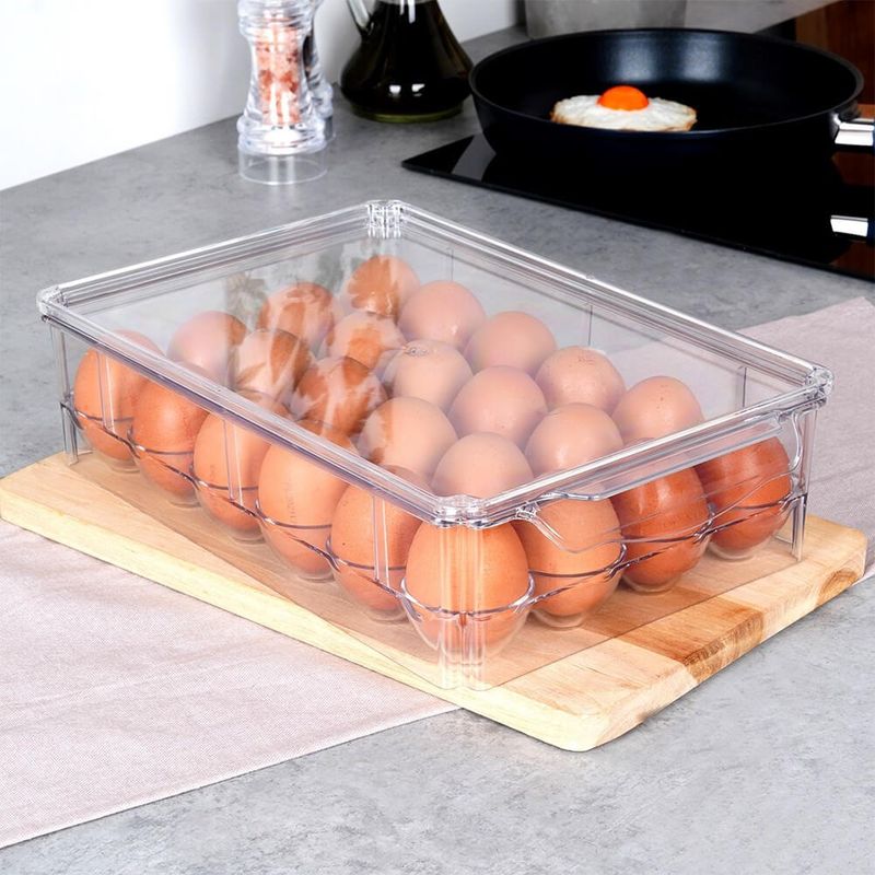Casa si Gradina - Bucatarie si vesela - Organizare si depozitare bucatarie - Cutii alimentare - Cutie Organizator Pentru 24 Oua, Vilde, 32x21x8cm, Plastic, Transparent - Infinity.ro