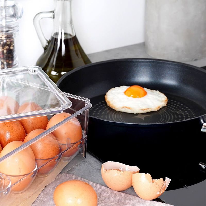 Casa si Gradina - Bucatarie si vesela - Organizare si depozitare bucatarie - Cutii alimentare - Cutie Organizator Pentru 24 Oua, Vilde, 32x21x8cm, Plastic, Transparent - Infinity.ro