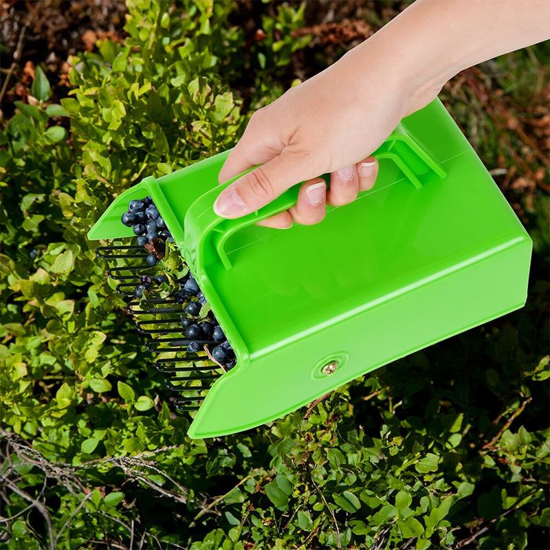 Casa si Gradina - Gradinarit si plante - Unelte gradinarit - Accesorii pentru unelte gradinarit - Culegator de Fructe Robust Si Durabil, Usor De Utilizat, Maner Confortabil 22×14×13,5 cm - Infinity.ro